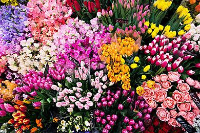 《DON'T SCREAM》登陆steam 声音控制恐怖探索